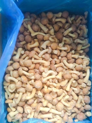 2025 New Crop high quality frozen nameko Mushrooms