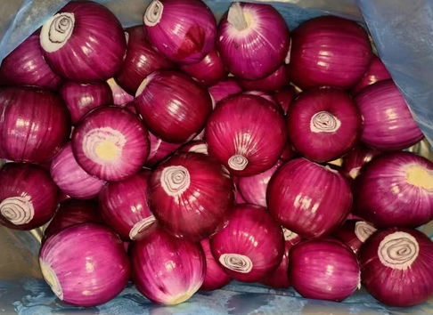Fresh onion whole for Your Business Round and  Packed in Mesh Bags Cartons PVC Boxes or Vacuum Packs