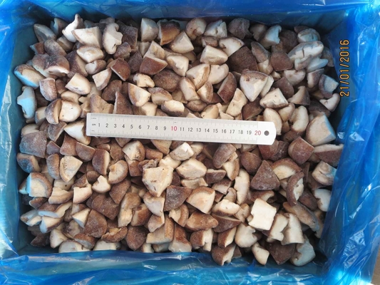 Origin China Hot Selling Iqf Food Mushroom Cultivation Shiitake Mushroom for Frozen Shiitake