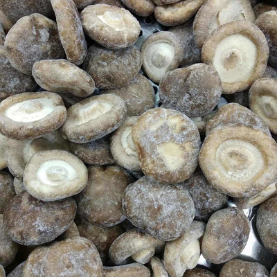 Sinocharm Wholesale Price Premium Frozen Mushroom High Quality 1/4 Cut IQF Frozen Shiitake with BRC a From China