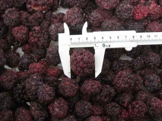 Frozen Fruits IQF Red Round Yangmei Bayberry Factory Price Bulk Frozen Waxberry
