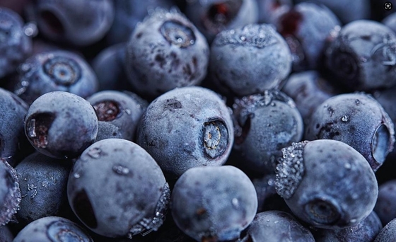 IQF Frozen Blueberries in Bulk Good Prices for Wholesale