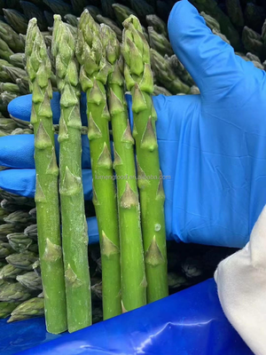 Factory Certified Quality Manufacture IQF Frozen Asparagus