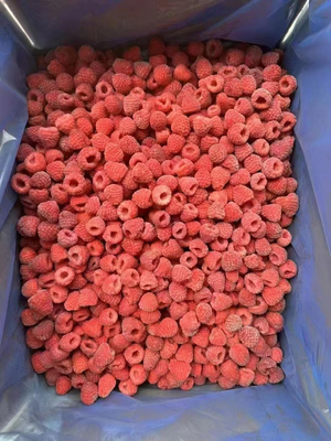 High Quality  Frozen Whole Raspberries