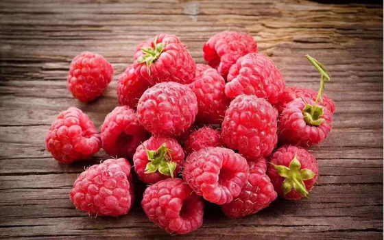 High Quality  Frozen Whole Raspberries