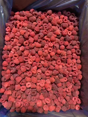 High Quality  Frozen Whole Raspberries