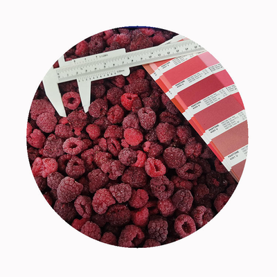 High Quality Fresh Frozen Raspberry Handpicked for Sweet Taste for Juices Desserts Milkshakes