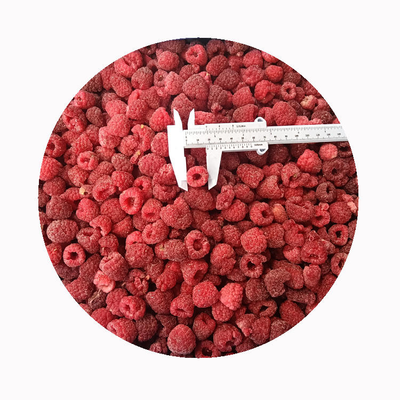 High Quality Fresh Frozen Raspberry Handpicked for Sweet Taste for Juices Desserts Milkshakes