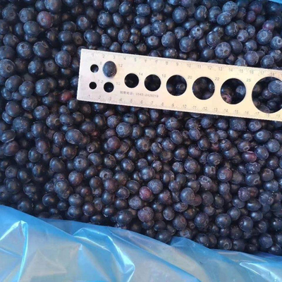IQF Sweet Whole Blueberries Frozen Blueberries