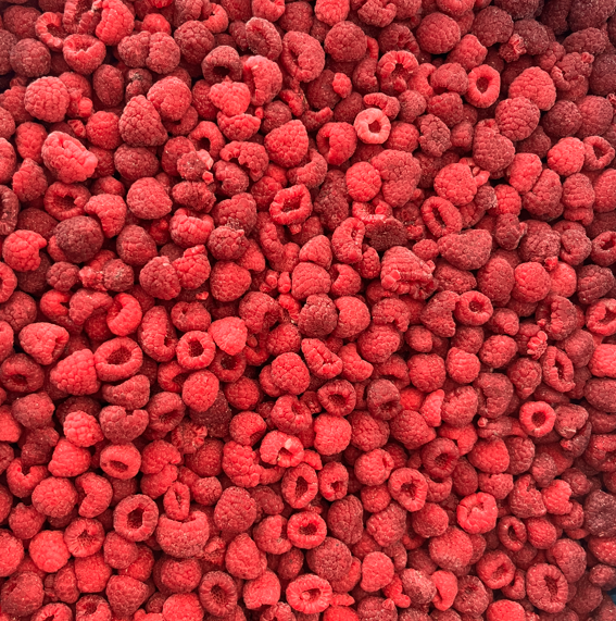 High Quality  Frozen Whole Raspberries