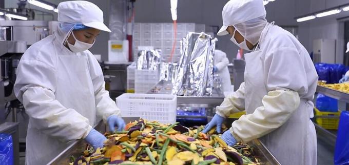 Hoogwaardige bevroren frambozen bevroren frambozen in bulk verpakking fruit 10