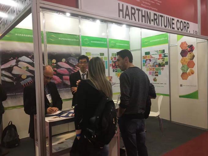 Hoogwaardige bevroren frambozen bevroren frambozen in bulk verpakking fruit 19