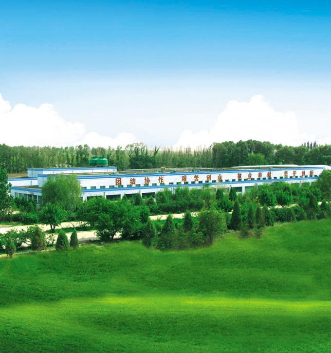 Sinocharm 4-Ster Product BRC-A Verse Gele Perzik 10x10mm Diepgevroren Gesneden Fruit Kubussen IQF Gele Perzik Blokjes 8