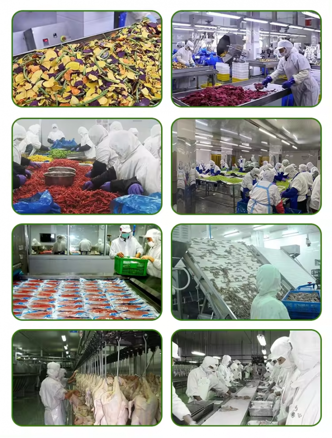 Groothandel Bulk verpakte bevroren pompoen in stukken Iqf pompoen stukjes Bevroren groenten 5