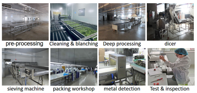 Chinese leveren de beste kwaliteit en goede prijs IQF diepgevroren groente hele okra gumbo 8