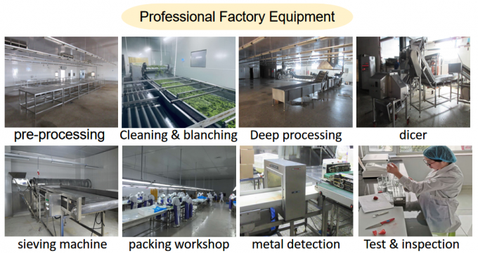 Fabrikant Fabrieksprijs IQF Hoogwaardige verse voeding Bevroren frambozen Servi&euml; voor export 6