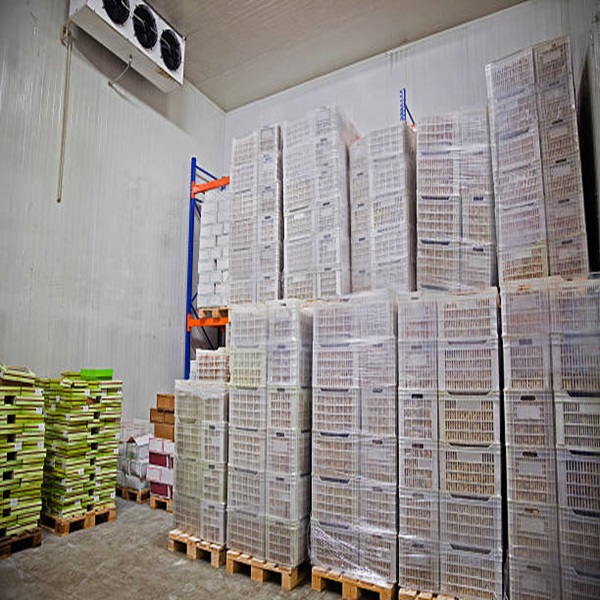 Goedkope Prijs Topkwaliteit Laag Vetgehalte Schoon HALAL Goedgekeurd Bevroren Lamslever 3