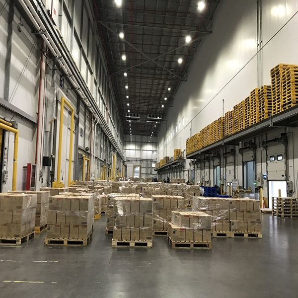 Goedkope Prijs Topkwaliteit Laag Vetgehalte Schoon HALAL Goedgekeurd Bevroren Lamslever 1