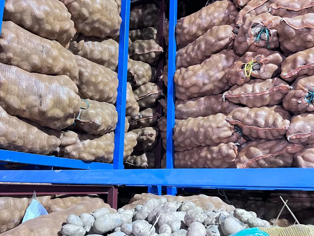 Laden en tijdige levering van diepgevroren rechte friet 0