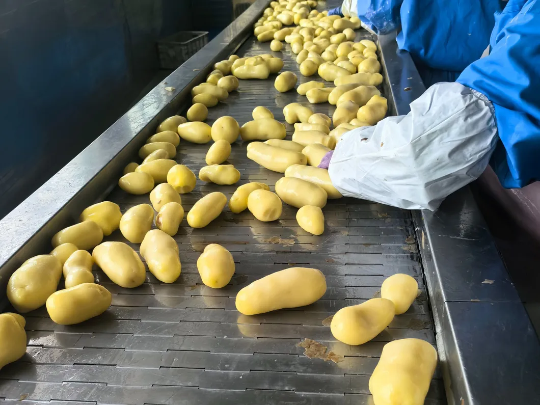 Laden en tijdige levering van diepgevroren rechte friet 1