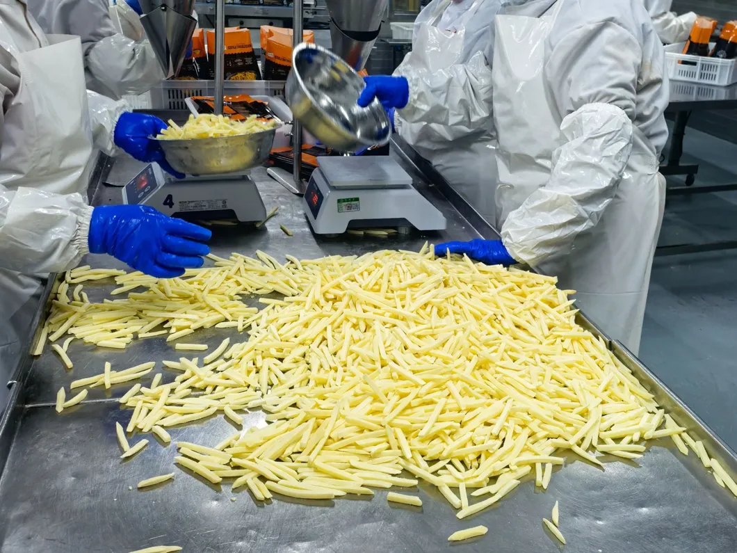 Laden en tijdige levering van diepgevroren rechte friet 2