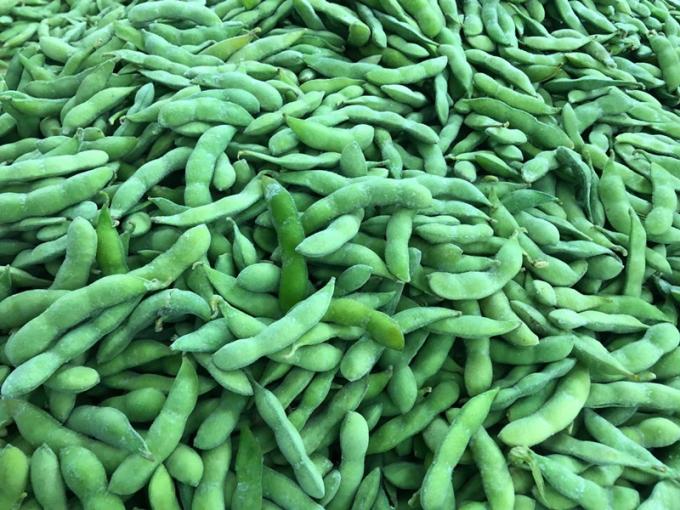 Bulk Biologische High-Protein Diepvries Groente Klaar om te Koken IQF Sojabonen 2