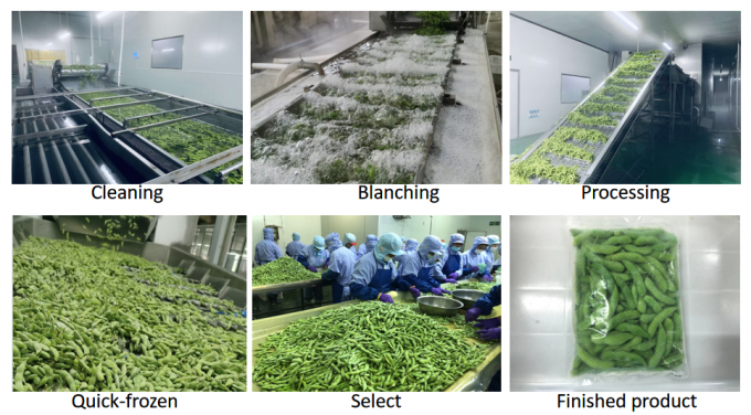 China Leverancier Sojabonen IQF Diepgevroren Edamame in Dop 4