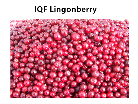 BRC,KOSHER,HALAL,IFS,BSCI IQF Bevroren Lingonberry Cranberry 100% natuurlijke Fruit Jam Bulk Packaging met 2 jaar houdbaarheid 0