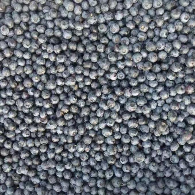 IQF Bevroren hele bosbessen Premium bakken en smoothie topping intensief 1
