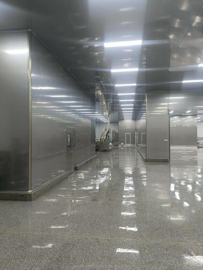 Fabrieksprijs voor populaire producten Witte kleur BRC HACCP-certificaten Diepgevroren groenten IQF Biologische knoflook 5