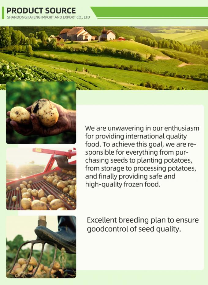 Automatische bevroren friet Bevroren friet Biologische IQF friet Bulk verpakking 10 kg vers materiaal 1
