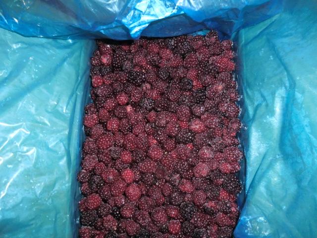 Diepvriesfruit Bessen Hot Sale en Hoge Kwaliteit IQF Diepvriesbraambes 2
