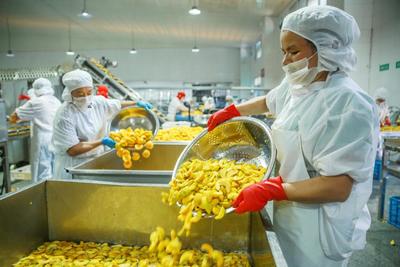 IQF Biologische Gele Perzik Helften Diepvriesfruit Zoete Smaak Bulk Verpakt Geconserveerd Water Pulp Heel Kubussen Dobbelstenen Helften Beschikbaar 8