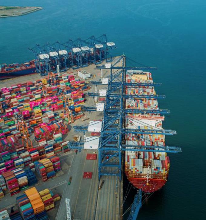 IQF Biologische Gele Perzik Helften Diepvriesfruit Zoete Smaak Bulk Verpakt Geconserveerd Water Pulp Heel Kubussen Dobbelstenen Helften Beschikbaar 13