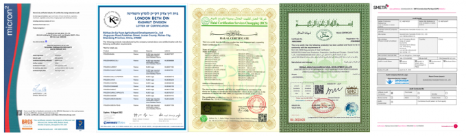 Groothandel Biologische zeedorn Bevroren zeedorn Bessen 5