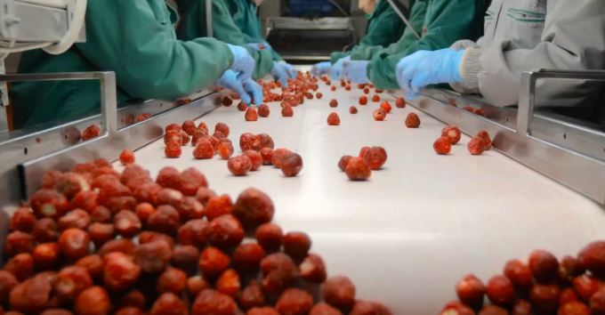 Hoge kwaliteit IQF Bevroren abrikozen halve Warme verkoop voor groothandel en detailhandel Fabrieksprijs Waterbehoud Bulk verpakking 3