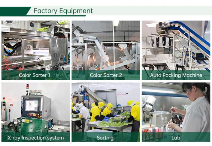 HALAL Gecertificeerde Diepgevroren Groentefabriek IQF Tomatenblokjes 10mm Diepgevroren Tomatenblokjes in China 2