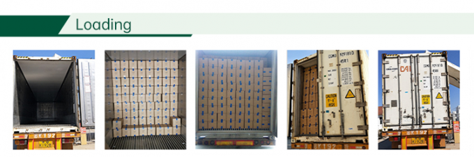 HALAL Gecertificeerde Diepgevroren Groentefabriek IQF Tomatenblokjes 10mm Diepgevroren Tomatenblokjes in China 4