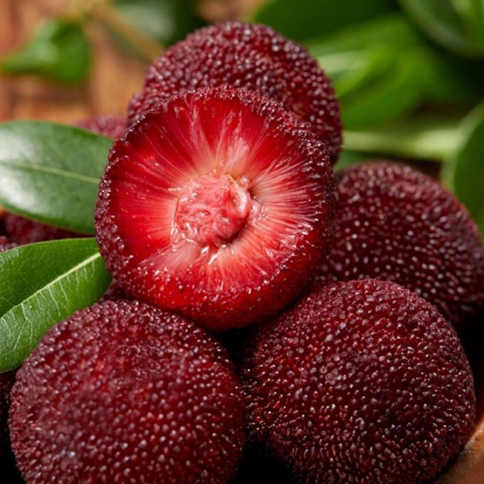 Diepgevroren IQF-fruit Rood Ronde Yangmei (Chinese kers) Fabrieksprijs Bulk Diepgevroren Wasbes 2