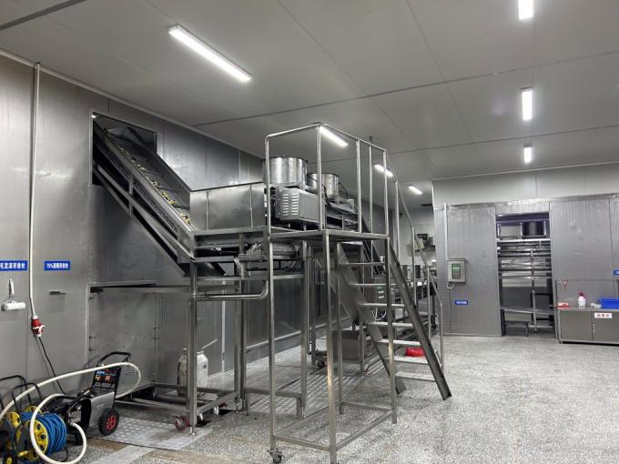 IQF Vier Diepgevroren Groenten: Doperwten & Zoete Ma&iuml;skorrels & Wortel & Sperziebonen 8