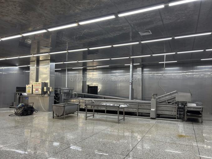 IQF Vier Diepgevroren Groenten: Doperwten & Zoete Ma&iuml;skorrels & Wortel & Sperziebonen 10