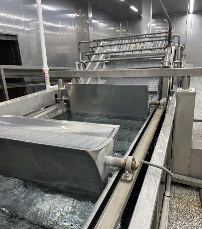 IQF Vier Diepgevroren Groenten: Doperwten & Zoete Ma&iuml;skorrels & Wortel & Sperziebonen 12