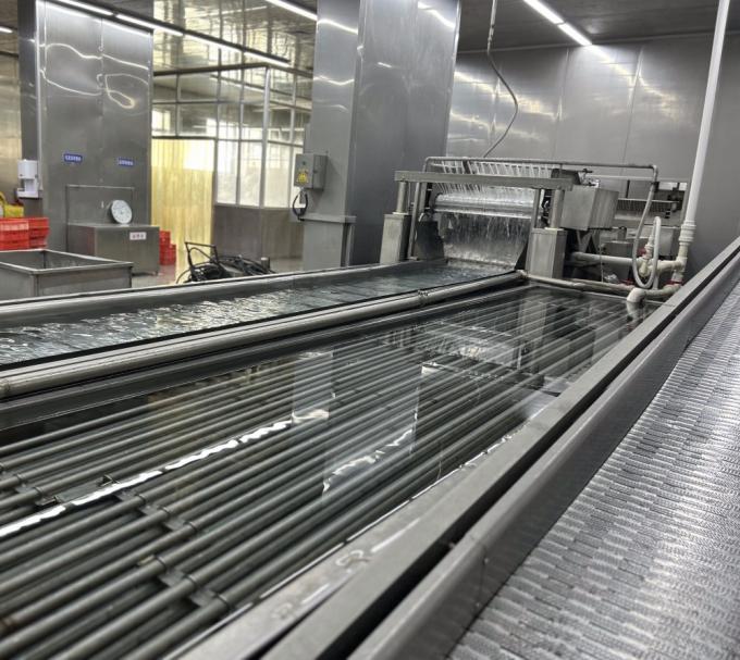 IQF Vier Diepgevroren Groenten: Doperwten & Zoete Ma&iuml;skorrels & Wortel & Sperziebonen 13