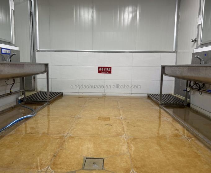 IQF Vier Diepgevroren Groenten: Doperwten & Zoete Ma&iuml;skorrels & Wortel & Sperziebonen 14