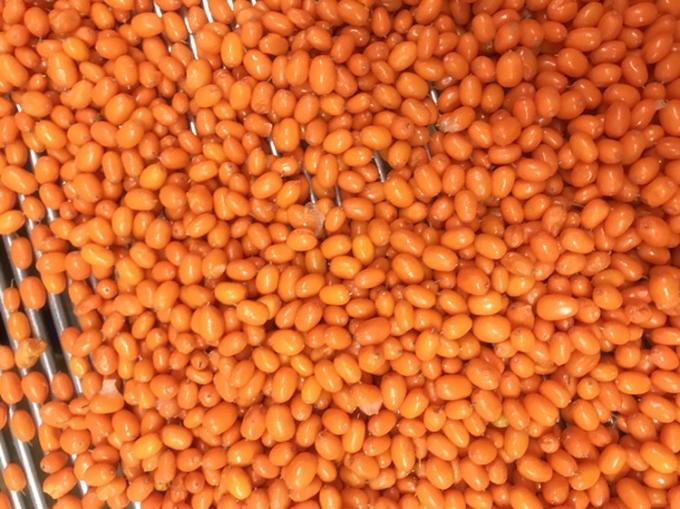 Oorsprong China IQF Vers Diepgevroren Wilde Duindoorn Eerste Klasse Duindoorn Cranberry Framboos, Bosbes Gemengde Bessen 2