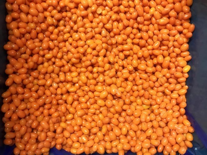 Oorsprong China IQF Vers Diepgevroren Wilde Duindoorn Eerste Klasse Duindoorn Cranberry Framboos, Bosbes Gemengde Bessen 3