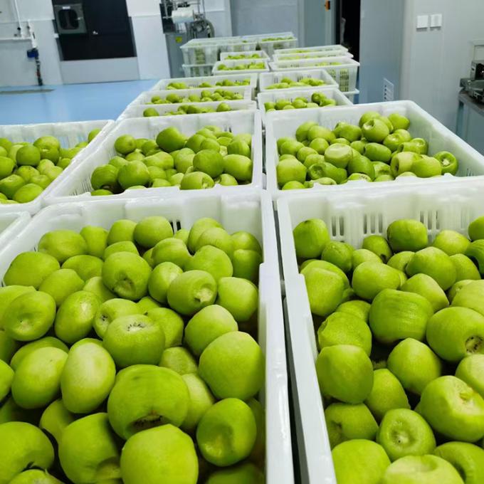 Kiwi Fruit Diepvriesfruit Bevroren Kiwi Bal Kwaliteit Natuurlijk 3