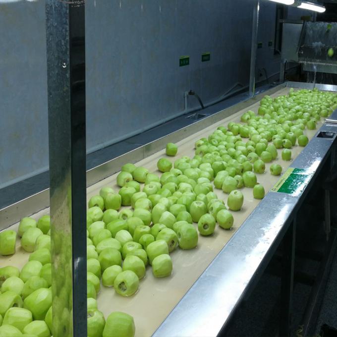 Kiwi Fruit Diepvriesfruit Bevroren Kiwi Bal Kwaliteit Natuurlijk 5