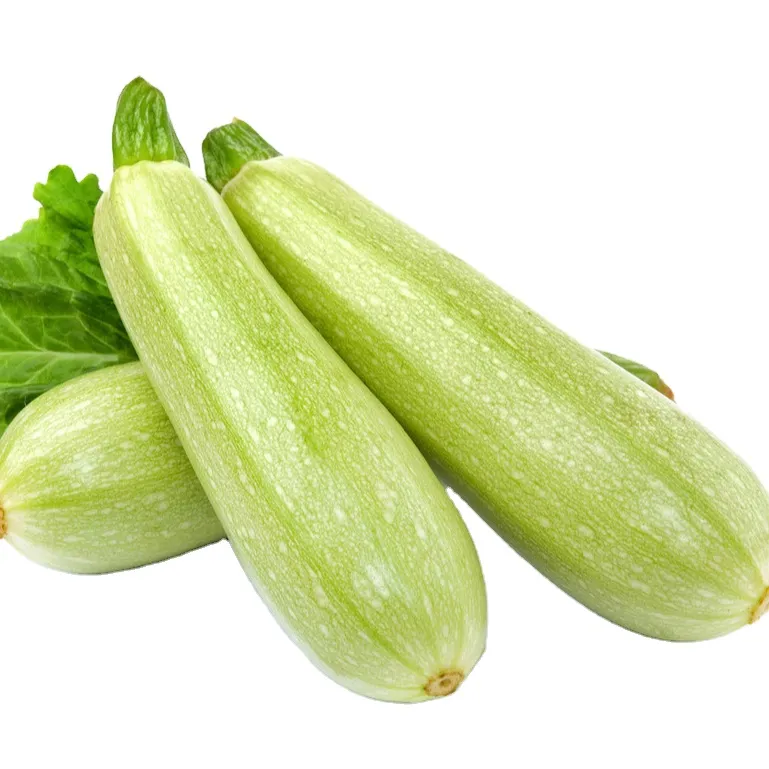 Diepvriesgroenten voor uw horecabedrijf, perfect voor uw foodservicebehoeften: courgette 2