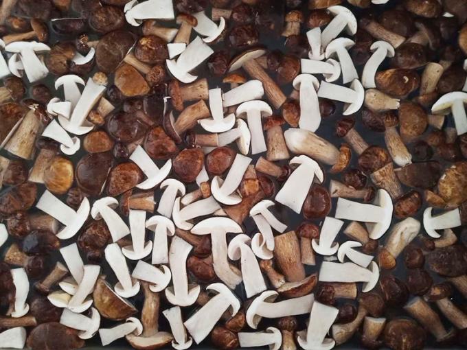 Bevroren paddenstoelen IQF BOLETUS EDULIS Graad A 24 maanden houdbaarheid ISO HACCP BRC KOSHER HALAL Gecertificeerd 10 ton MOQ 0